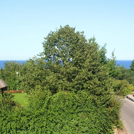 Apartmán Meerblick 3 *
